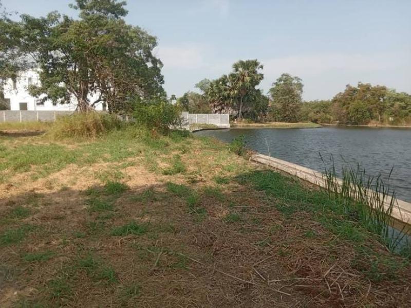 รูปที่4 ต้องการขายที่ดินเปล่า ท้ายเกาะ สามโคก ราคา 7,500,000 บาท