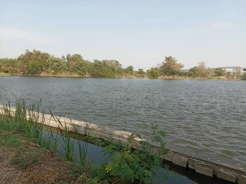 รูปที่5 ต้องการขายที่ดินเปล่า ท้ายเกาะ สามโคก ราคา 7,500,000 บาท