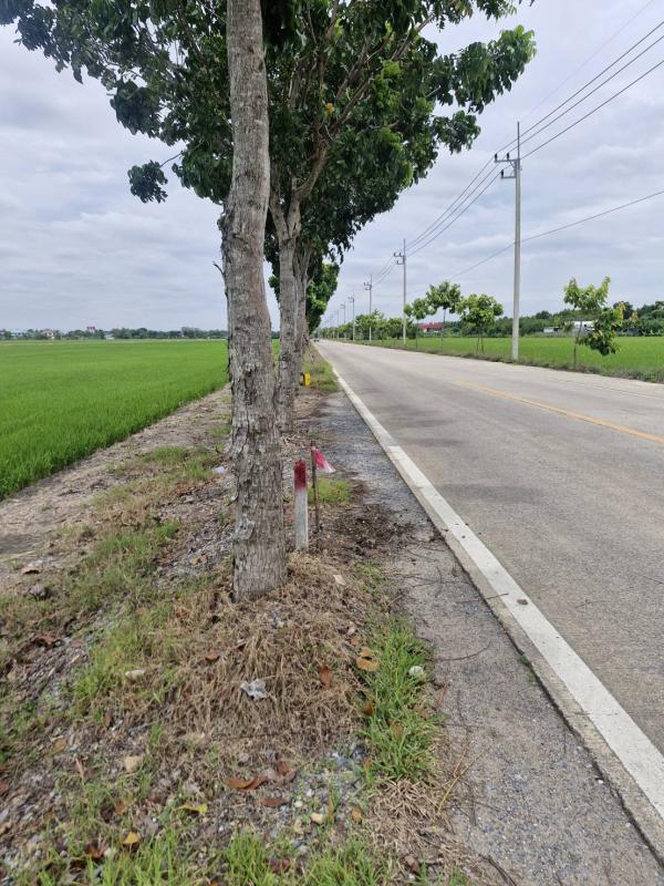 รูปที่4 ต้องการขายที่ดินเปล่า บึงคำพร้อย ลำลูกกา  