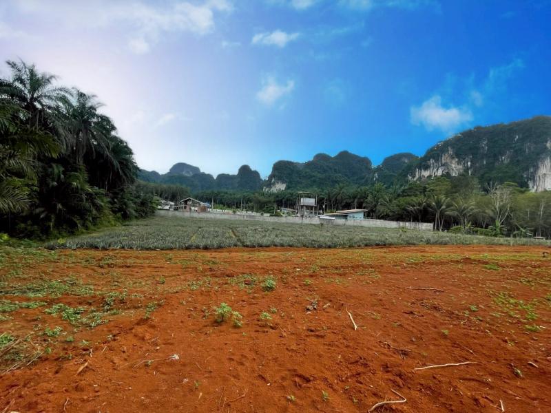 รูปที่2 ต้องการขายที่ดินเปล่า อ่าวนาง เมืองกระบี่ ราคา 1,800,000 บาท