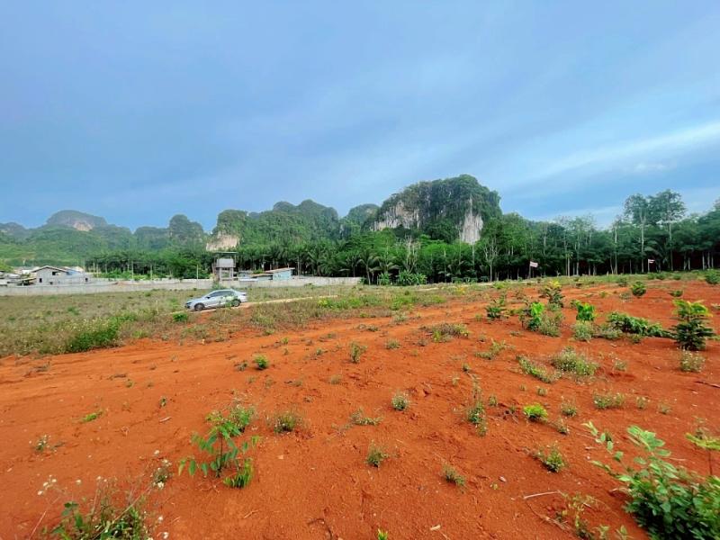 รูปที่4 ต้องการขายที่ดินเปล่า อ่าวนาง เมืองกระบี่ ราคา 1,800,000 บาท