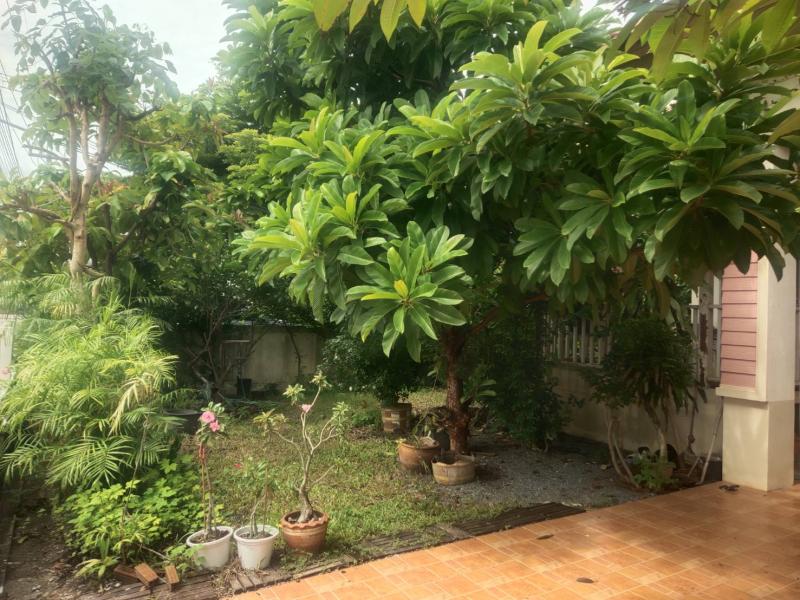 รูปที่3 ต้องการขายบ้านพร้อมที่ดิน คลองโยง พุทธมณฑล ราคา 3,500,000 บาท