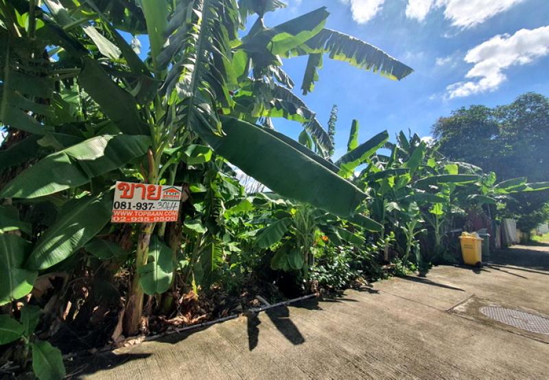 รูปที่6 ต้องการขายที่ดินเปล่า คันนายาว เขตคันนายาว ราคา 1,700,000 บาท