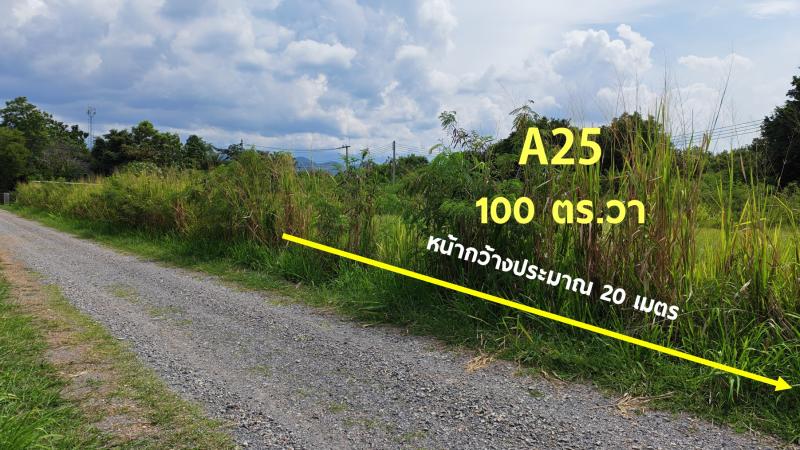 รูปที่3 ต้องการขายที่ดินเปล่า ขนงพระ ปากช่อง ราคา 3,400,000 บาท