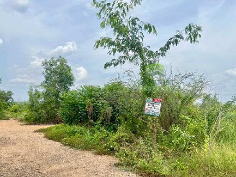 รูปที่2 ต้องการขายที่ดินเปล่า อาษา บ้านนา ราคา 160,000 บาท
