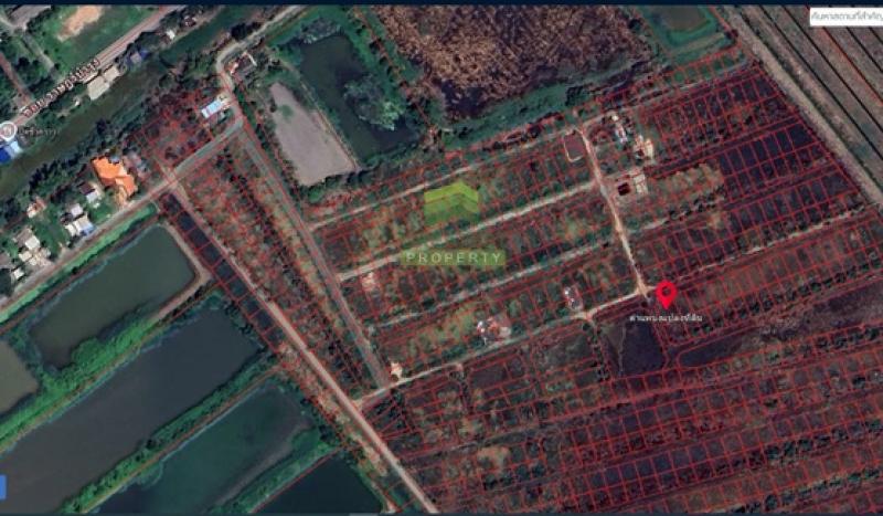 รูปที่5 ต้องการขายที่ดินเปล่า อาษา บ้านนา ราคา 160,000 บาท