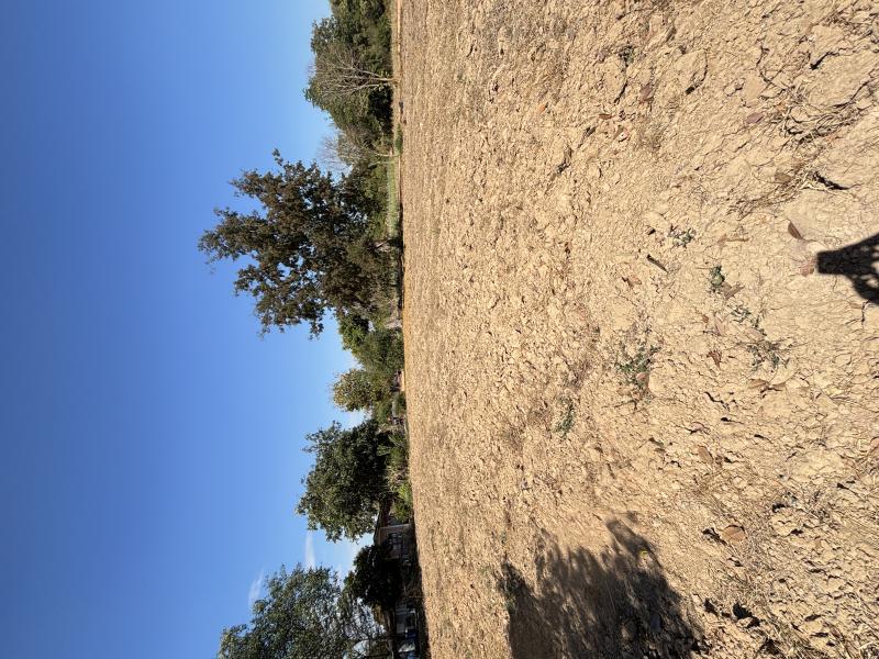 รูปที่2 ต้องการขายบ้านพร้อมที่ดิน นาวังหิน พนัสนิคม ราคา 41,775,000 บาท