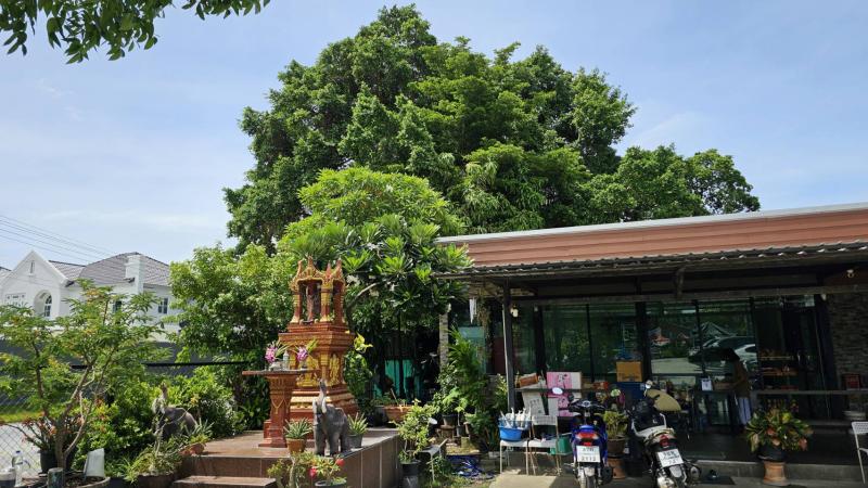 รูปที่4 ต้องการขายบ้านพร้อมที่ดิน ท่าข้าม เขตบางขุนเทียน ราคา 50,000,000 บาท