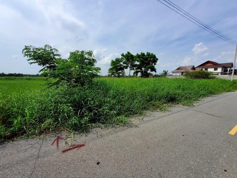 รูปที่3 ต้องการขายที่ดินเปล่า บึงบอน หนองเสือ ราคา 1,490,000 บาท