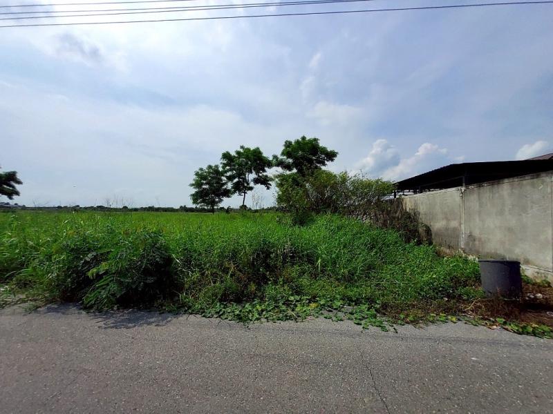 รูปที่6 ต้องการขายที่ดินเปล่า บึงบอน หนองเสือ ราคา 1,490,000 บาท