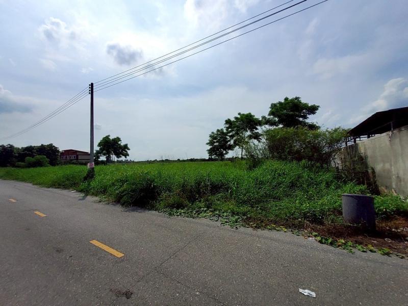 รูปที่7 ต้องการขายที่ดินเปล่า บึงบอน หนองเสือ ราคา 1,490,000 บาท