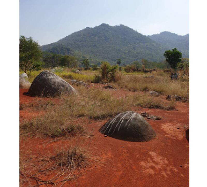 รูปภาพสินทรัพย์