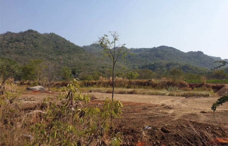 รูปที่3 ต้องการขายที่ดินเปล่า ชอนน้อย พัฒนานิคม ราคา 4,320,000 บาท