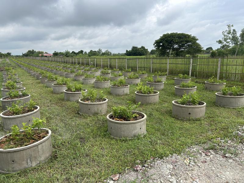 รูปภาพสินทรัพย์