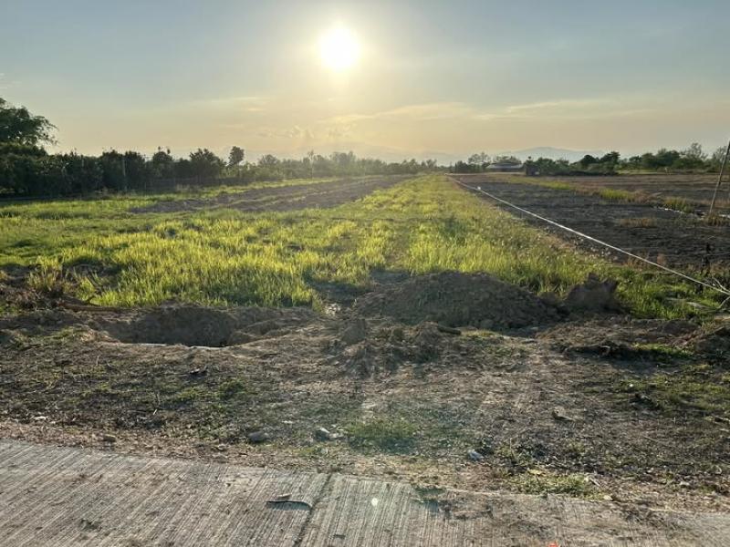 รูปที่2 ต้องการขายที่ดินเปล่า แม่แรง ป่าซาง ราคา 1,300,000 บาท