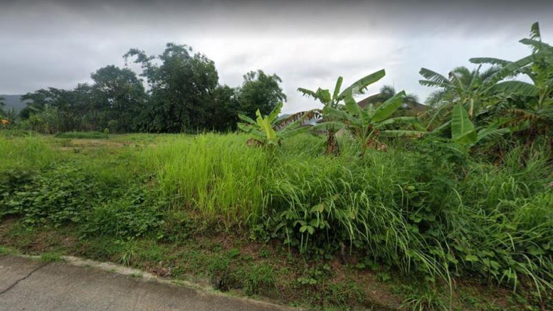 รูปที่2 ต้องการขายที่ดินเปล่า ฉลอง เมืองภูเก็ต ราคา 9,000,000 บาท