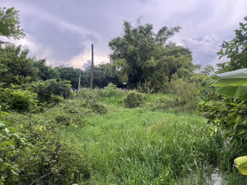 รูปที่5 ต้องการขายที่ดินเปล่า ท่าทราย เมืองนครนายก ราคา 2,650,000 บาท