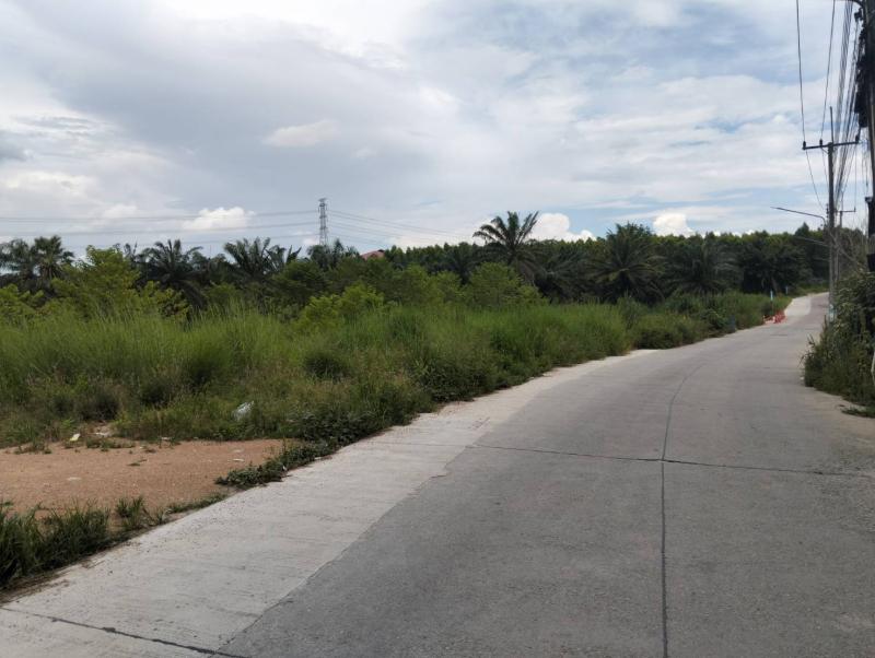รูปที่3 ต้องการขายที่ดินเปล่า มาบยางพร ปลวกแดง ราคา 2,500,000 บาท