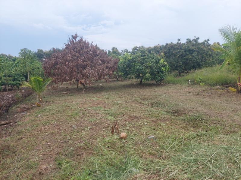 รูปภาพสินทรัพย์