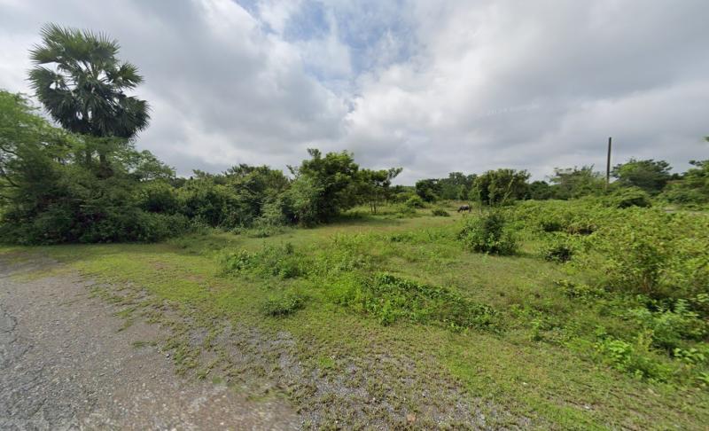 รูปที่5 ต้องการขายที่ดินเปล่า นนทรี กบินทร์บุรี  