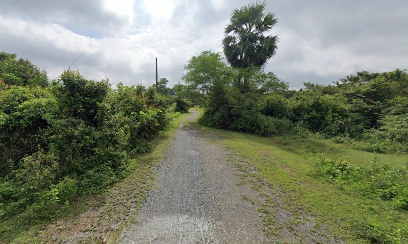 รูปที่4 ต้องการขายที่ดินเปล่า นนทรี กบินทร์บุรี  