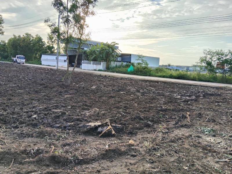 รูปที่4 ต้องการขายที่ดินเปล่า ราษฎร์นิยม ไทรน้อย ราคา 5,200,000 บาท