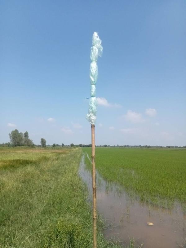 รูปภาพสินทรัพย์