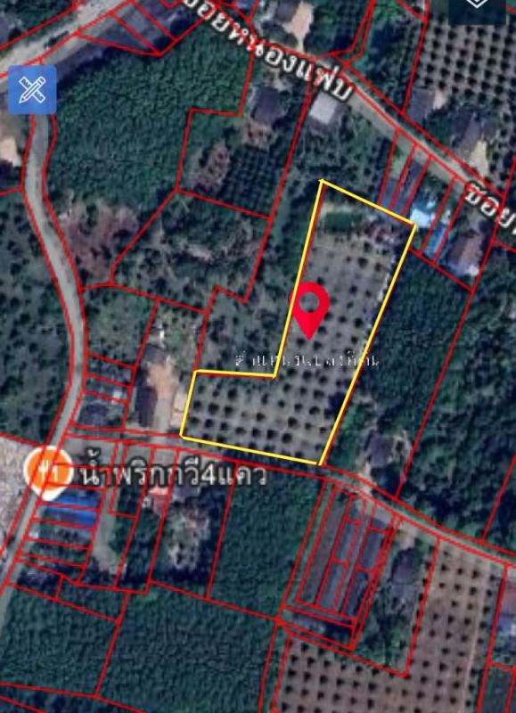 รูปที่6 ต้องการขายที่ดินเปล่า กระแสบน แกลง ราคา 7,800,000 บาท