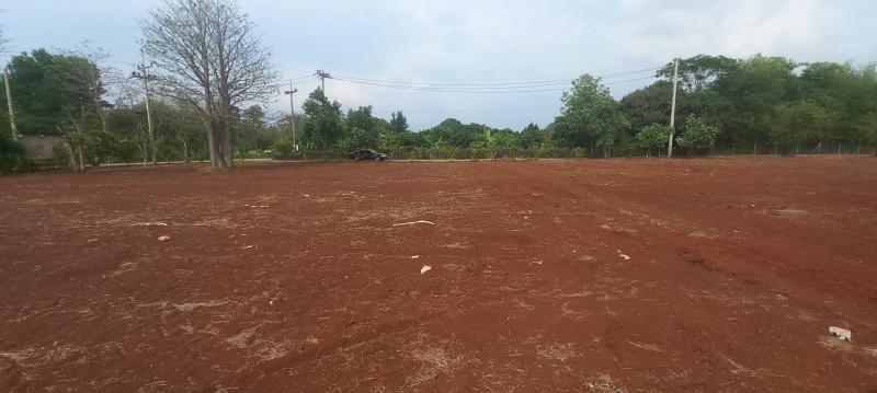 รูปภาพสินทรัพย์