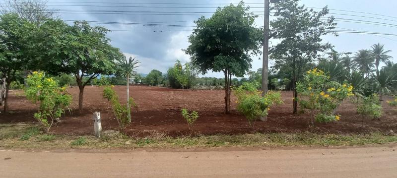 รูปที่6 ต้องการขายที่ดินเปล่า หมูสี ปากช่อง ราคา 36,000,000 บาท