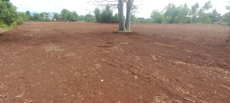 รูปที่7 ต้องการขายที่ดินเปล่า หมูสี ปากช่อง ราคา 36,000,000 บาท