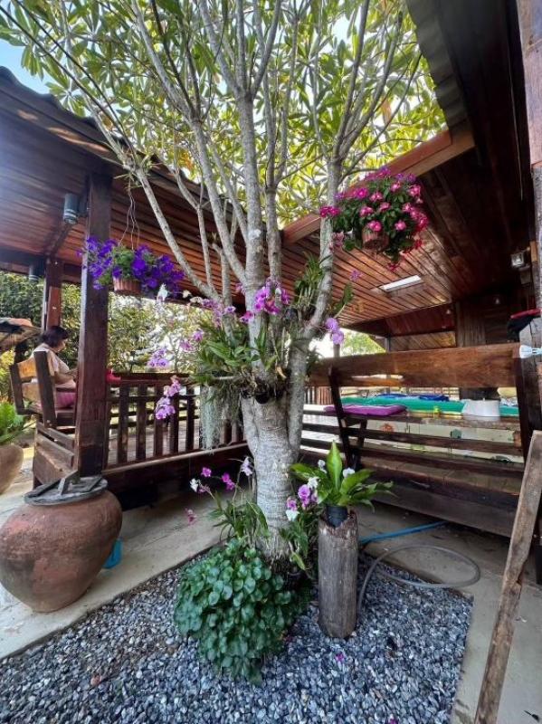 รูปที่8 ต้องการขายบ้านพร้อมที่ดิน เขาแก้ว ท่าใหม่ ราคา 4,000,000 บาท