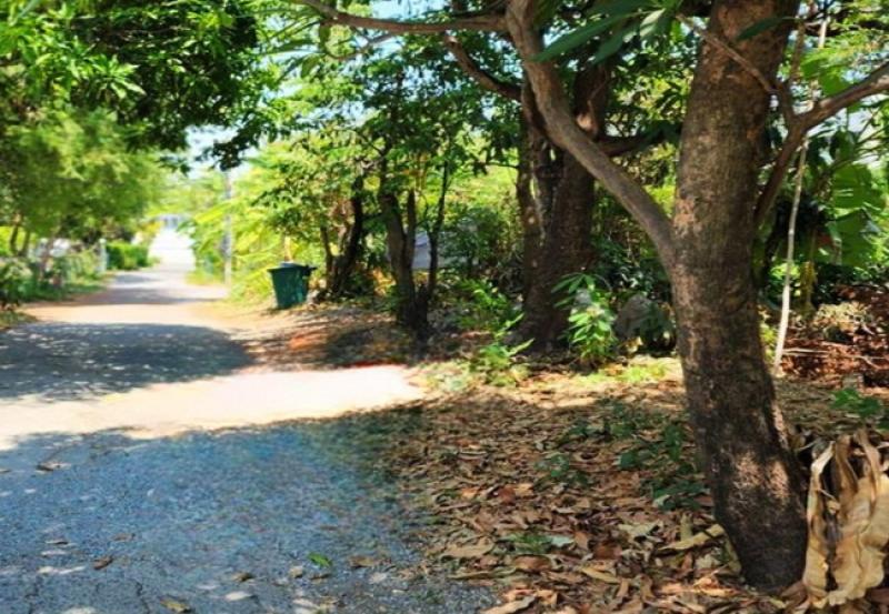 รูปที่5 ต้องการขายบ้านพร้อมที่ดิน บางซื่อ เขตบางซื่อ ราคา 17,710,000 บาท