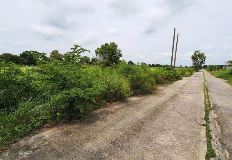 รูปที่3 ต้องการขายที่ดินเปล่า คลองห้า คลองหลวง ราคา 2,886,000 บาท