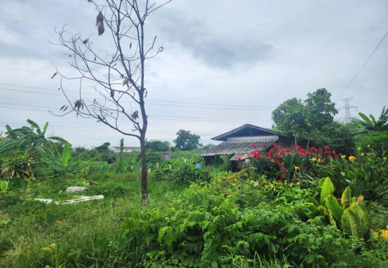 รูปที่2 ต้องการขายที่ดินเปล่า ระแหง ลาดหลุมแก้ว ราคา 3,000,000 บาท