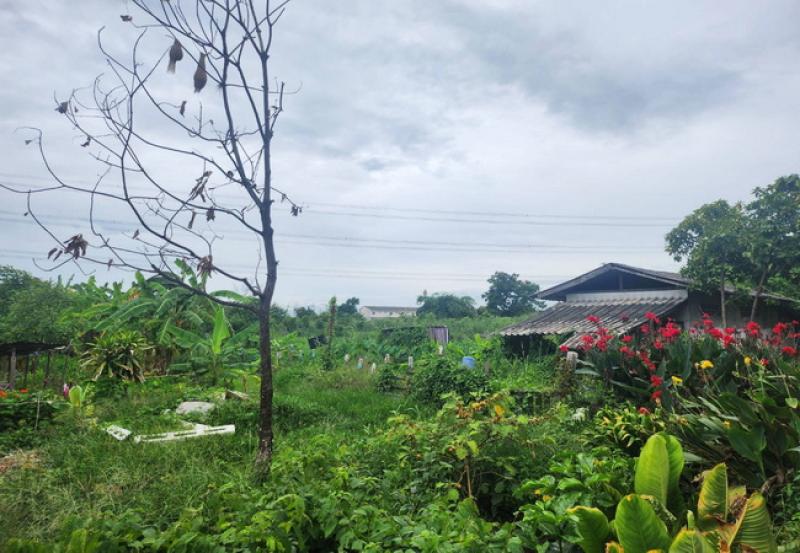 รูปที่5 ต้องการขายที่ดินเปล่า ระแหง ลาดหลุมแก้ว ราคา 3,000,000 บาท
