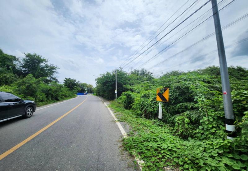 รูปที่3 ต้องการขายที่ดินเปล่า ทัพหลวง เมืองนครปฐม ราคา 1,200,000 บาท