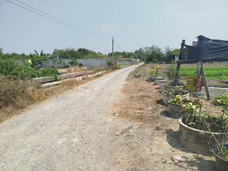 รูปที่6 ต้องการขายที่ดินเปล่า บ้านใหม่ บางใหญ่ ราคา 3,100,000 บาท