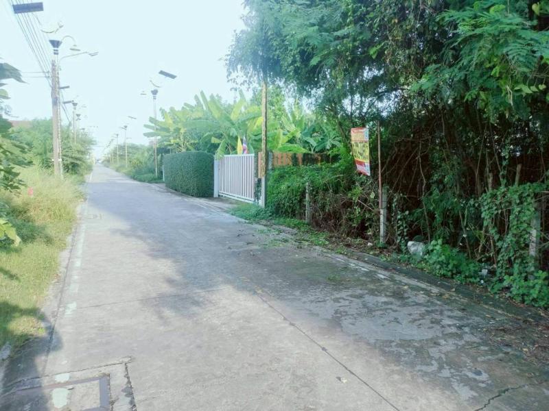 รูปที่4 ต้องการขายที่ดินเปล่า ราชาเทวะ บางพลี ราคา 2,900,000 บาท