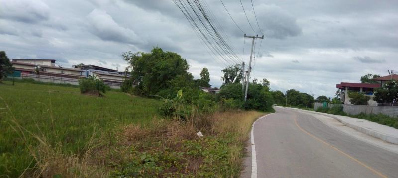 รูปที่2 ให้เช่าที่ดินเปล่า ต้นเปา สันกำแพง ราคา 20,000 บาท