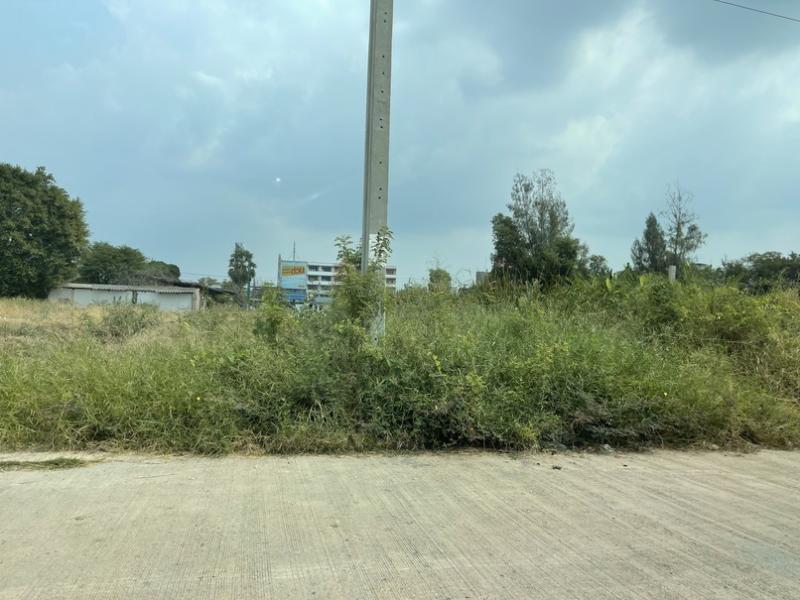 รูปภาพสินทรัพย์