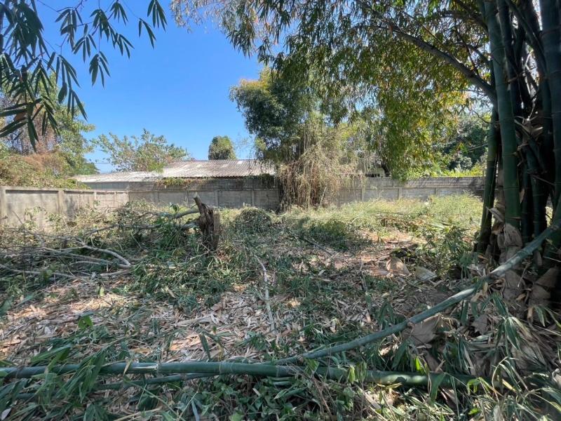 รูปที่3 ต้องการขายที่ดินเปล่า รอบเวียง เมืองเชียงราย ราคา 3,500,000 บาท