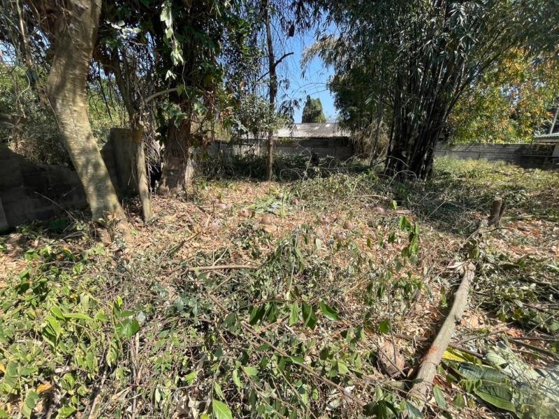 รูปที่6 ต้องการขายที่ดินเปล่า รอบเวียง เมืองเชียงราย ราคา 3,500,000 บาท