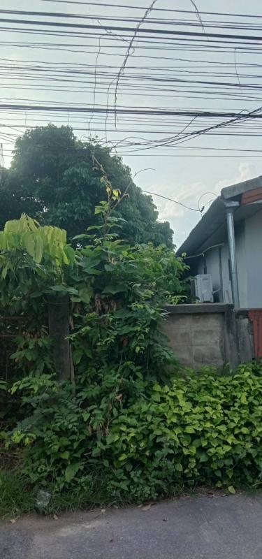 รูปที่7 ต้องการขายที่ดินเปล่า รอบเวียง เมืองเชียงราย ราคา 3,500,000 บาท