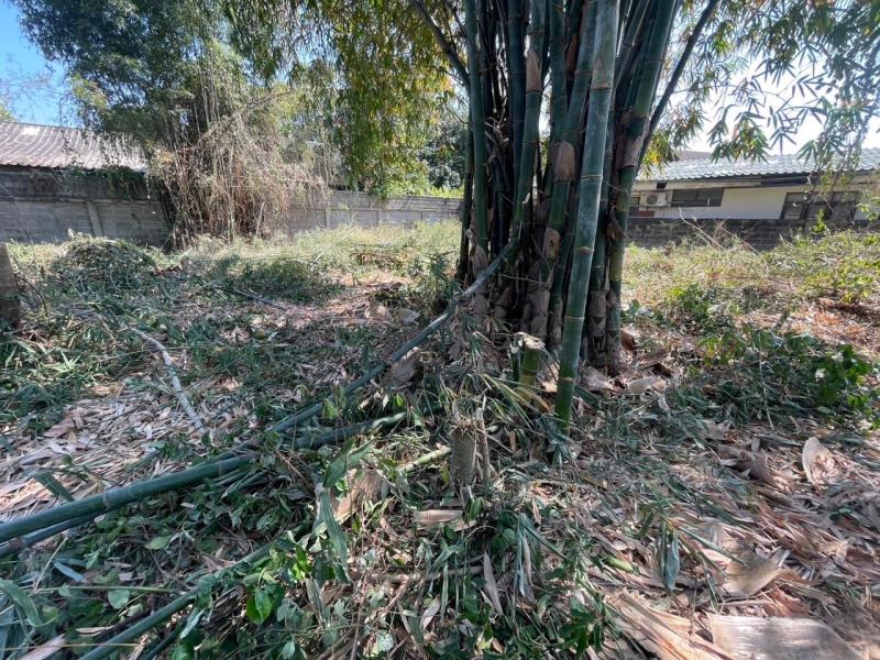 รูปที่8 ต้องการขายที่ดินเปล่า รอบเวียง เมืองเชียงราย ราคา 3,500,000 บาท