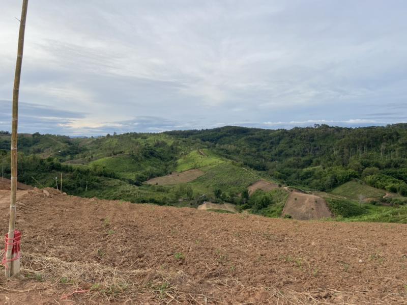 รูปที่2 ต้องการขายบ้านพร้อมที่ดิน เขาค้อ เขาค้อ ราคา 2,500,000 บาท