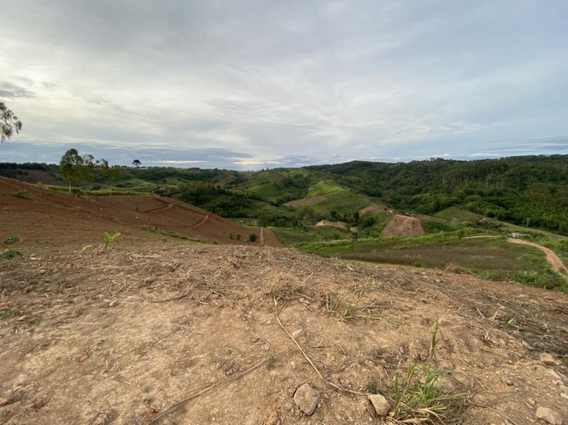 รูปที่3 ต้องการขายบ้านพร้อมที่ดิน เขาค้อ เขาค้อ ราคา 2,500,000 บาท