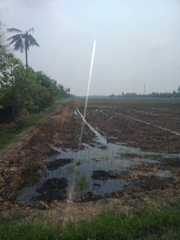 รูปที่4 ต้องการขายที่ดินเปล่า บางบัวทอง บางบัวทอง ราคา 57,000,000 บาท