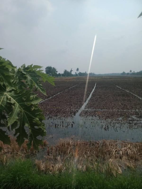 รูปที่5 ต้องการขายที่ดินเปล่า บางบัวทอง บางบัวทอง ราคา 57,000,000 บาท