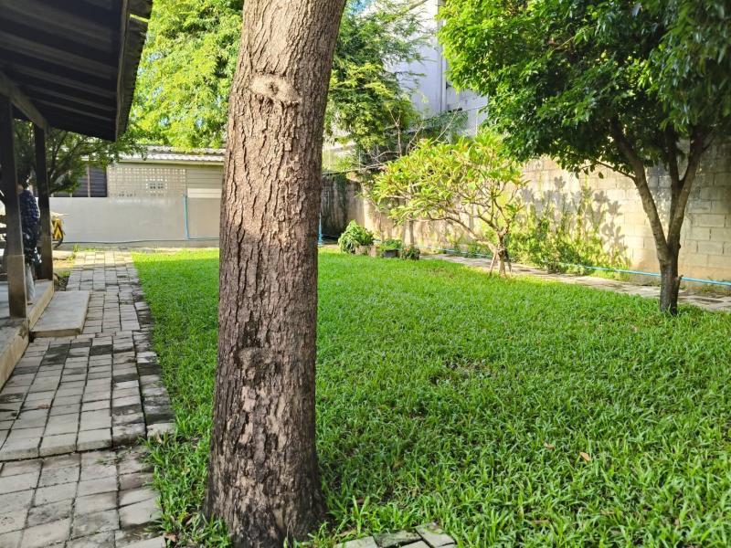 รูปภาพสินทรัพย์